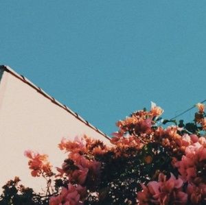 Meet your Posher, Alexander